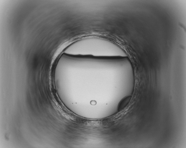 X0000100480102200806130742