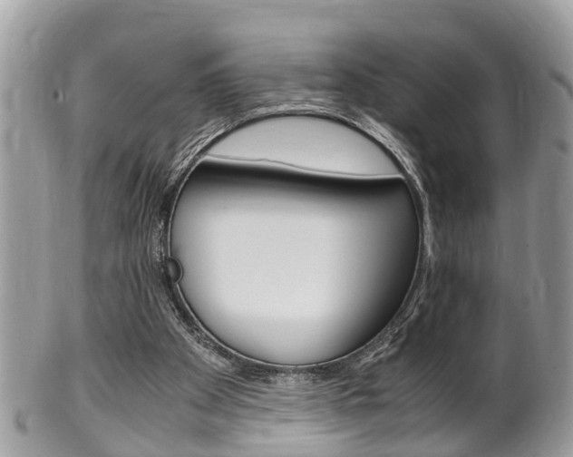 X0000100480105200806130742