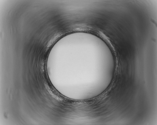 X0000100480106200806130742