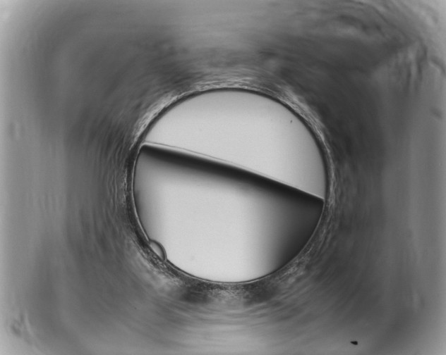 X0000100480107200806130742