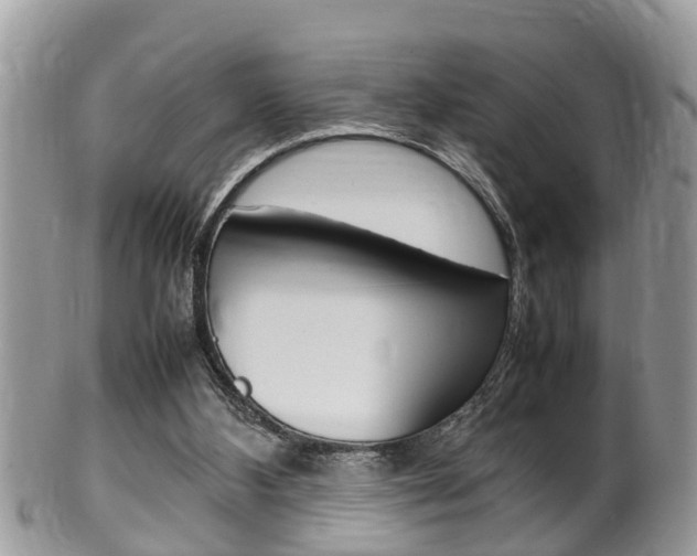 X0000100480108200806130742