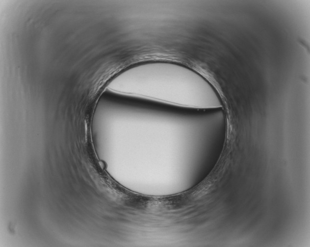X0000100480109200806130741