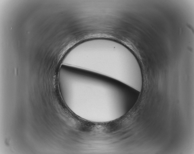 X0000100480111200806130741