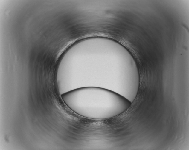 X0000100480112200806130741
