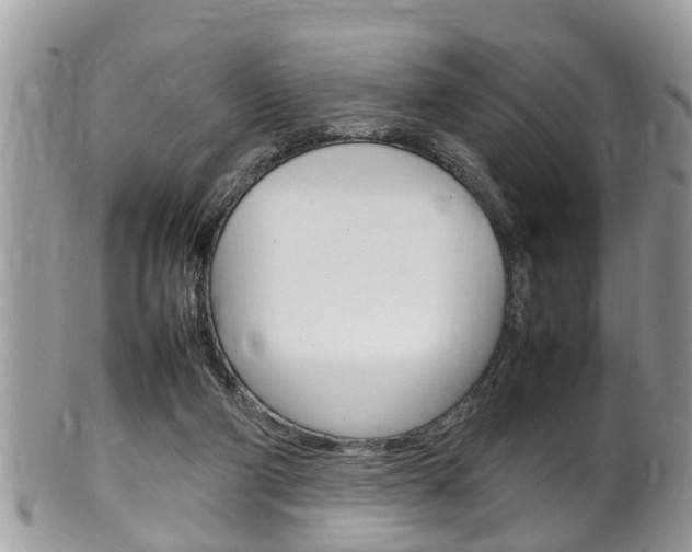 X0000100480114200806130741