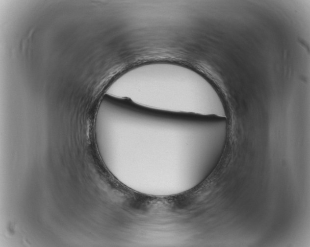 X0000100480115200806130741