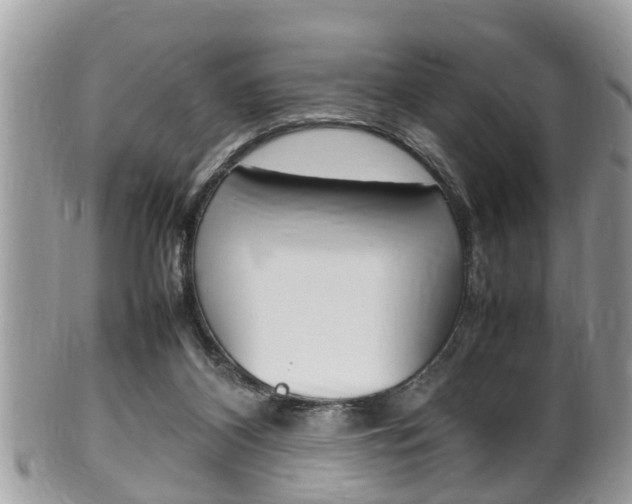 X0000100480116200806130741