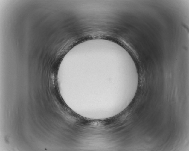 X0000100480117200806130741