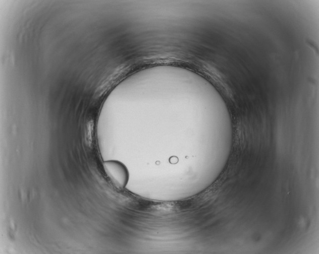 X0000100480118200806130741