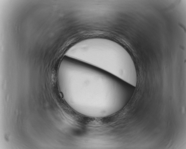 X0000100480119200806130741