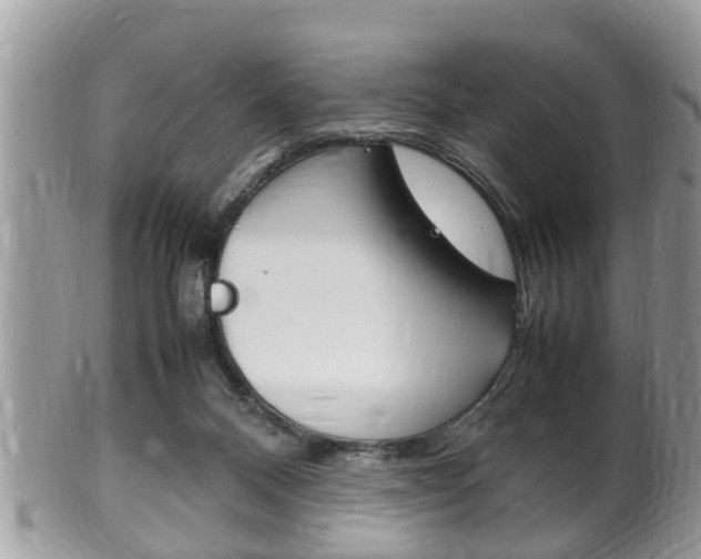 X0000100480120200806130741