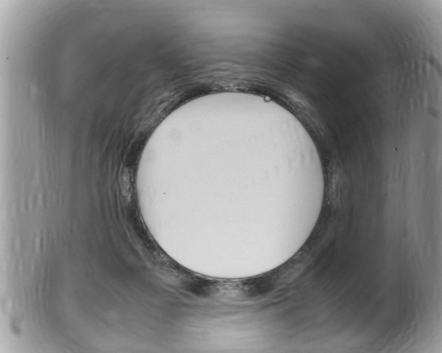 X0000100480121200806130741
