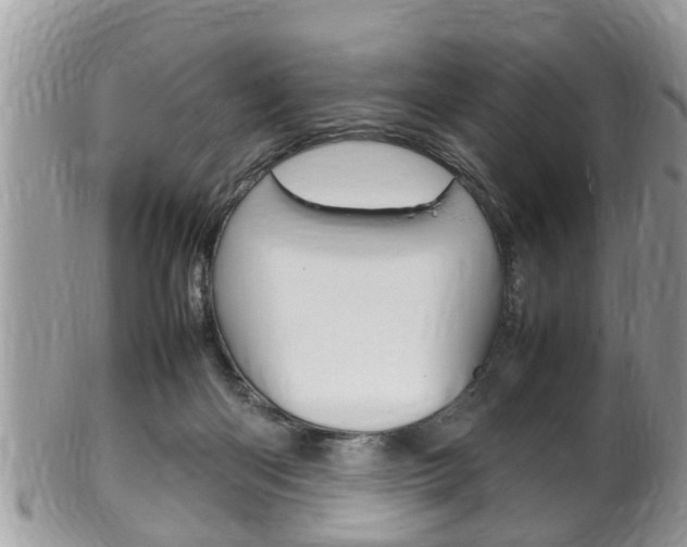 X0000100480122200806130741