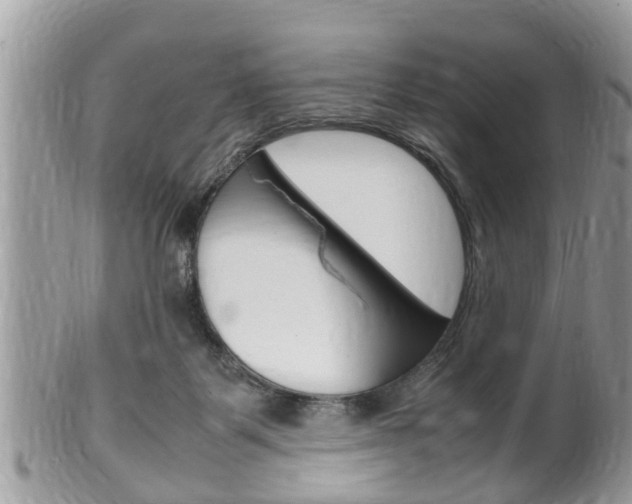 X0000100480123200806130741