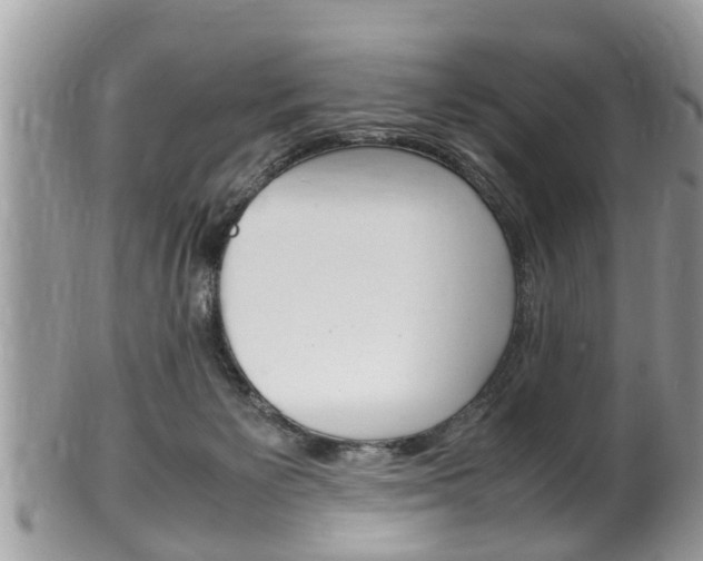 X0000100480125200806130741