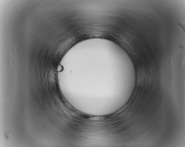 X0000100480126200806130741