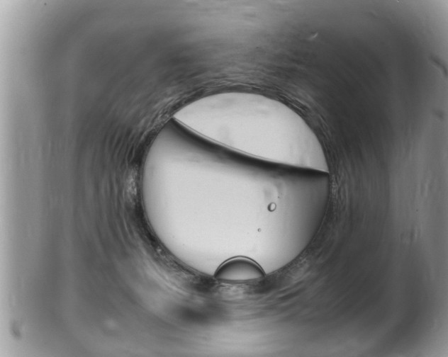 X0000100480127200806130741