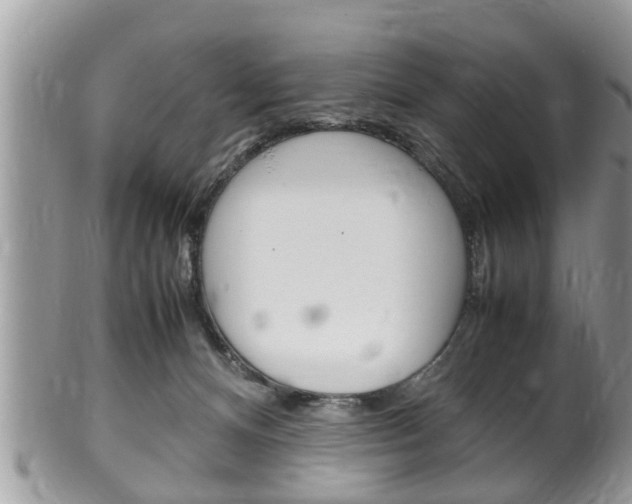 X0000100480128200806130741