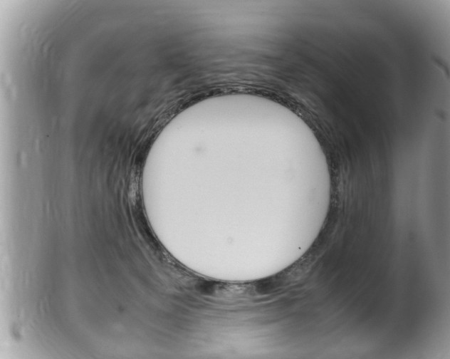 X0000100480129200806130741