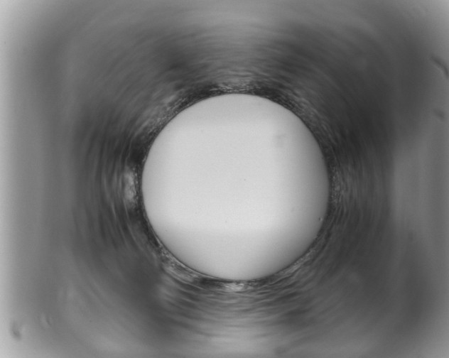 X0000100480130200806130741