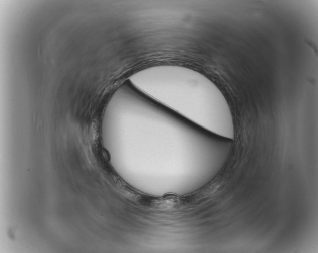 X0000100480131200806130741