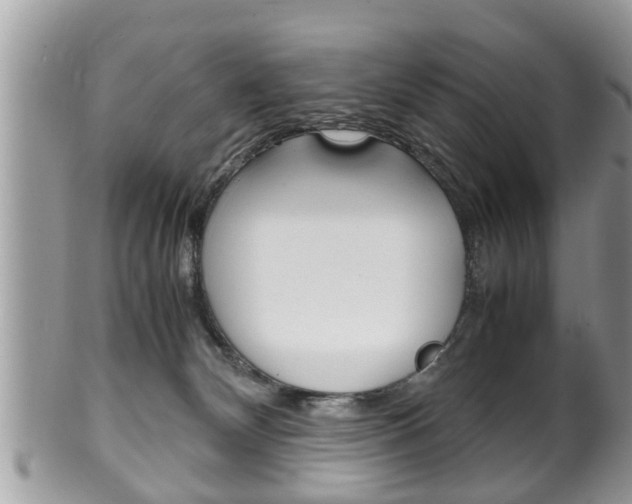 X0000100480132200806130741