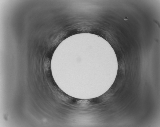 X0000100480133200806130741
