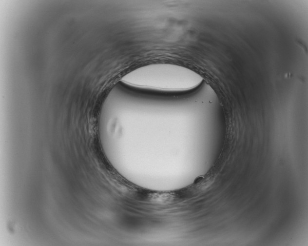X0000100480135200806130741