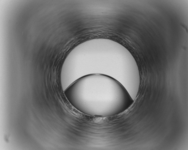X0000100480136200806130741