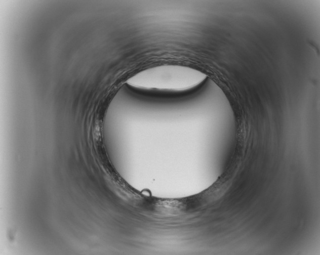 X0000100480137200806130741