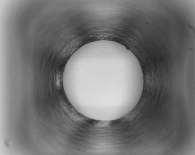X0000100480138200806130741