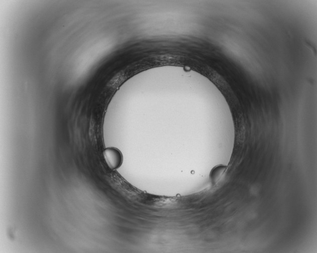 X0000100480140200806130741