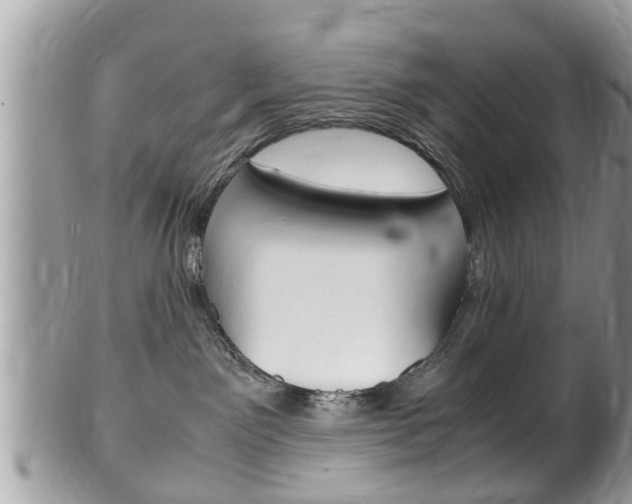 X0000100480141200806130741