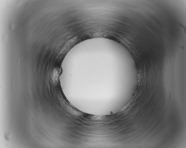 X0000100480142200806130741