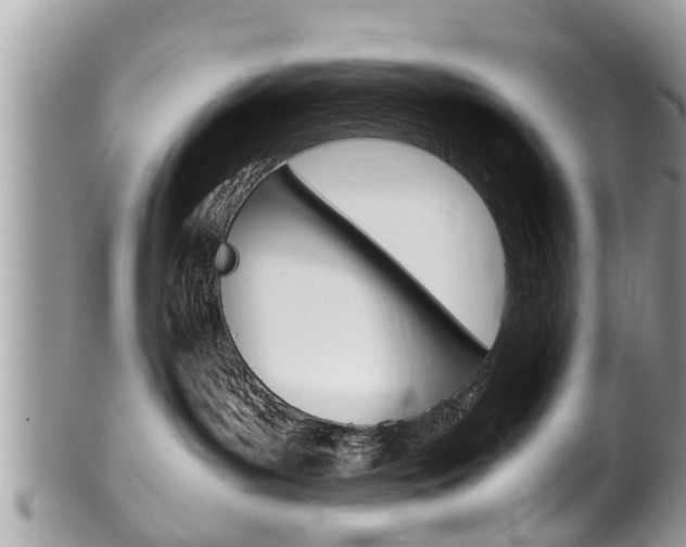 X0000100480143200806130741