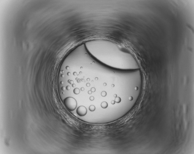 X0000100480145200806130740