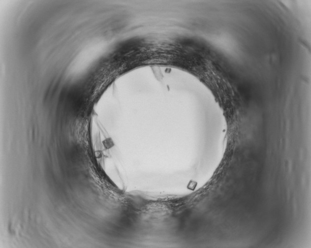 X0000100480146200806130740