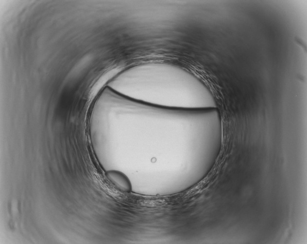 X0000100480147200806130740