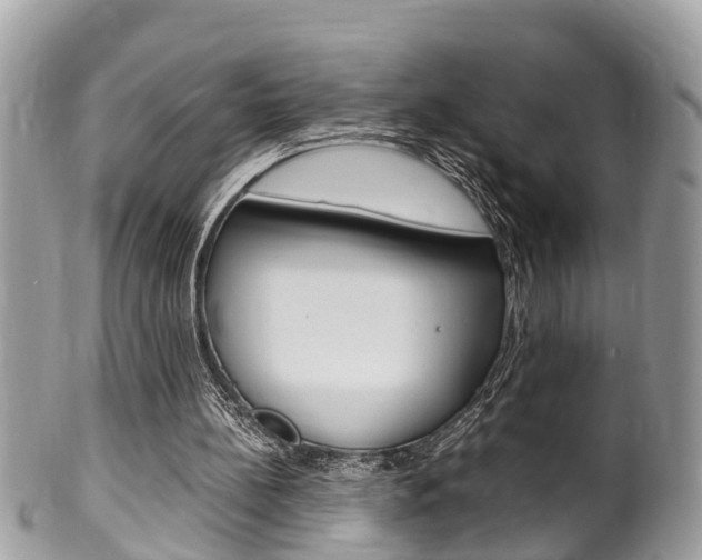 X0000100480148200806130740