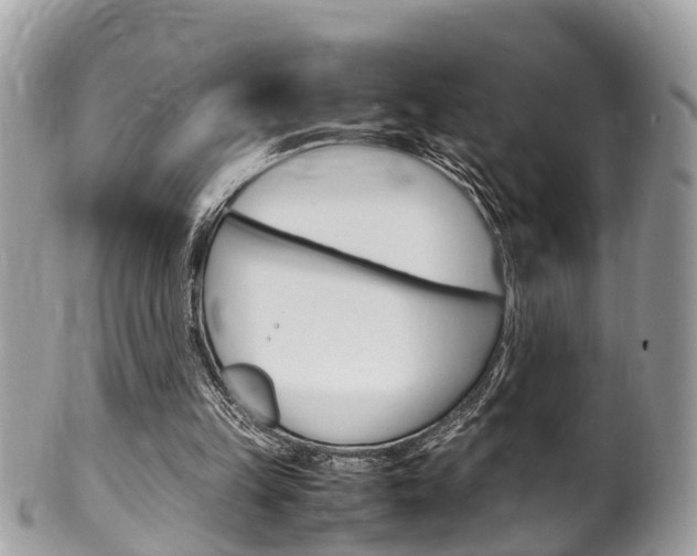 X0000100480149200806130740