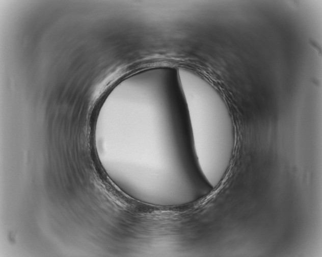 X0000100480150200806130740