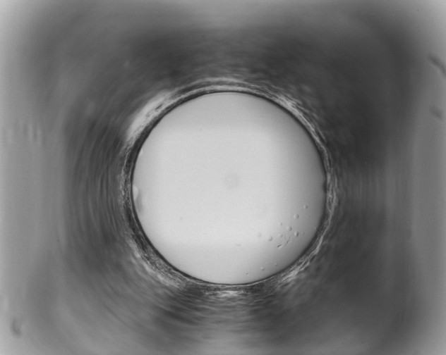 X0000100480151200806130740