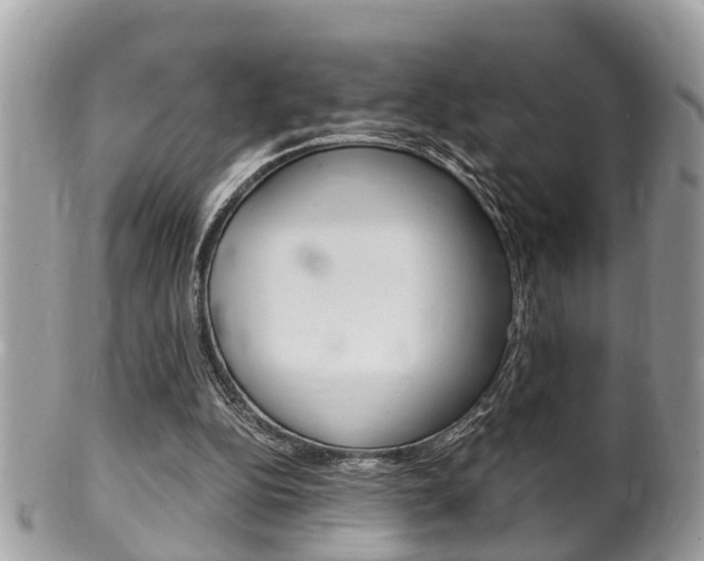 X0000100480152200806130740