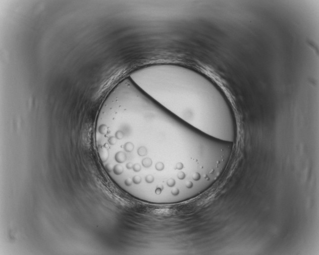 X0000100480153200806130740