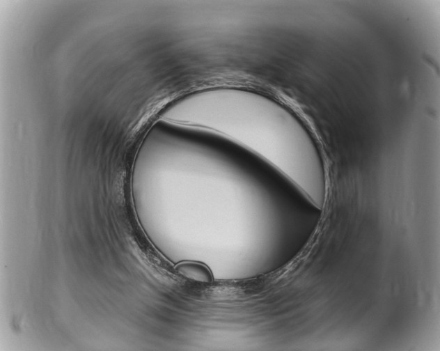 X0000100480154200806130740