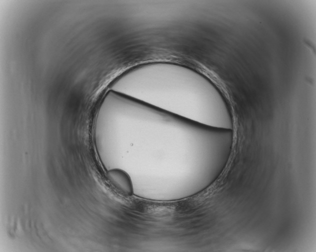 X0000100480155200806130740