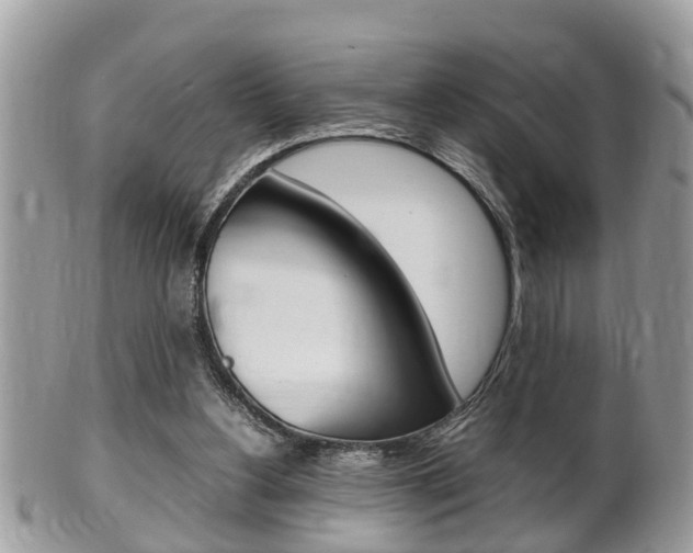 X0000100480156200806130740