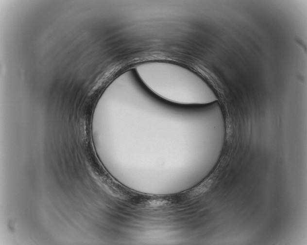 X0000100480158200806130740