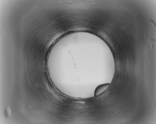 X0000100480159200806130740