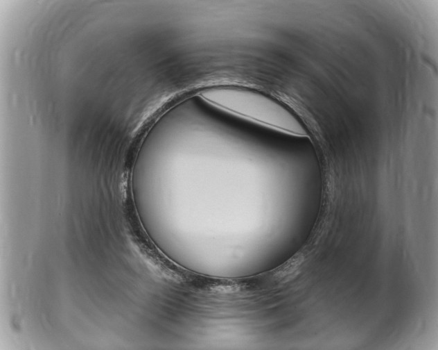 X0000100480160200806130740